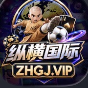 纵横国际